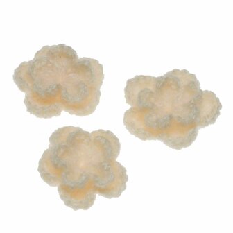 Gehaakte bloem creme ca. 40 mm (10 stuks)